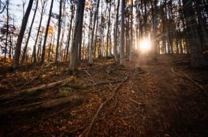 Read more about the article Stick to Your Goals: 4 Steps to Help you Follow Through