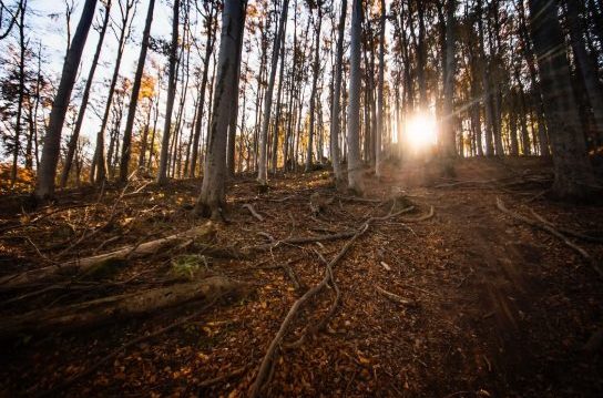 Read more about the article Stick to Your Goals: 4 Steps to Help you Follow Through