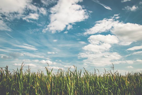 Read more about the article Growing Forward: 3 Life Lessons I Learned That Aren’t Taught in School
