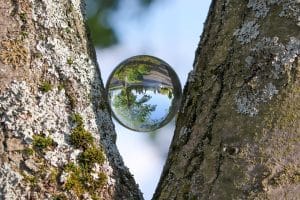 Read more about the article It is What You Say it is: The Pivotal Power of Perspective