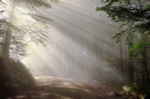 Read more about the article Lessons from the Diary of a Novice Backpacker