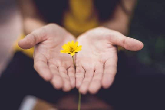 Read more about the article I’m Sorry for Judging You: What Judging Others Really Reveals!