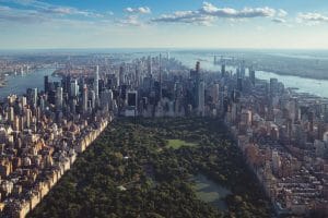 Read more about the article Finding the Light in the Midst of Darkness: A Walk In Central Park