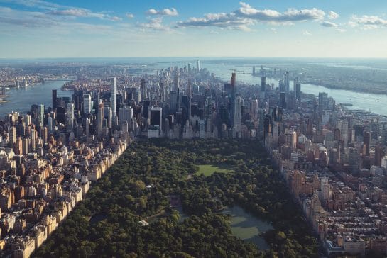 Read more about the article Finding the Light in the Midst of Darkness: A Walk In Central Park
