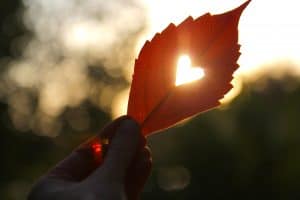 Read more about the article Learning to Be Kind to Myself: What Does that Look Like?