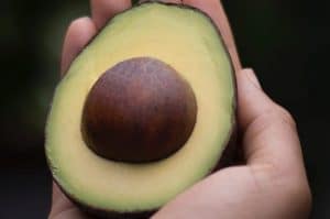 Read more about the article Cultivating Patience to Gain Self-Control: 5 Lessons From Avocado Seeds
