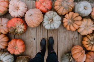 Read more about the article Pumpkin Pie Modified; An Ode to my Uncle John and His Delicious Recipe