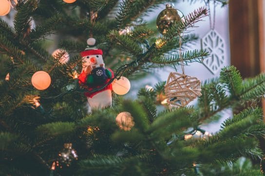 Read more about the article Preparing For the Holidays: Tips For Families With Children on the Spectrum