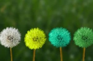 Read more about the article Learn.Change.Grow; Evolving to Become The Next Version of YOU!