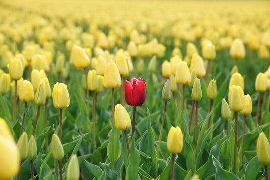 Read more about the article A Lesson I Learned From My Mom: Be Yourself
