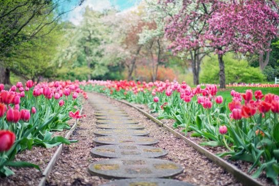 Read more about the article Six Ways That Spring Cleaning Will Declutter Your Life