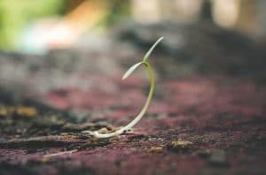 Read more about the article Embrace the Season You’re In – Something Valuable is Coming