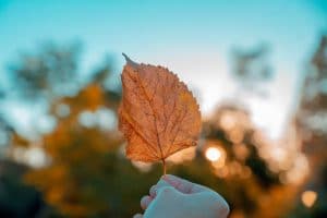 Read more about the article Honoring Our Stories: The Toxicity of Comparison