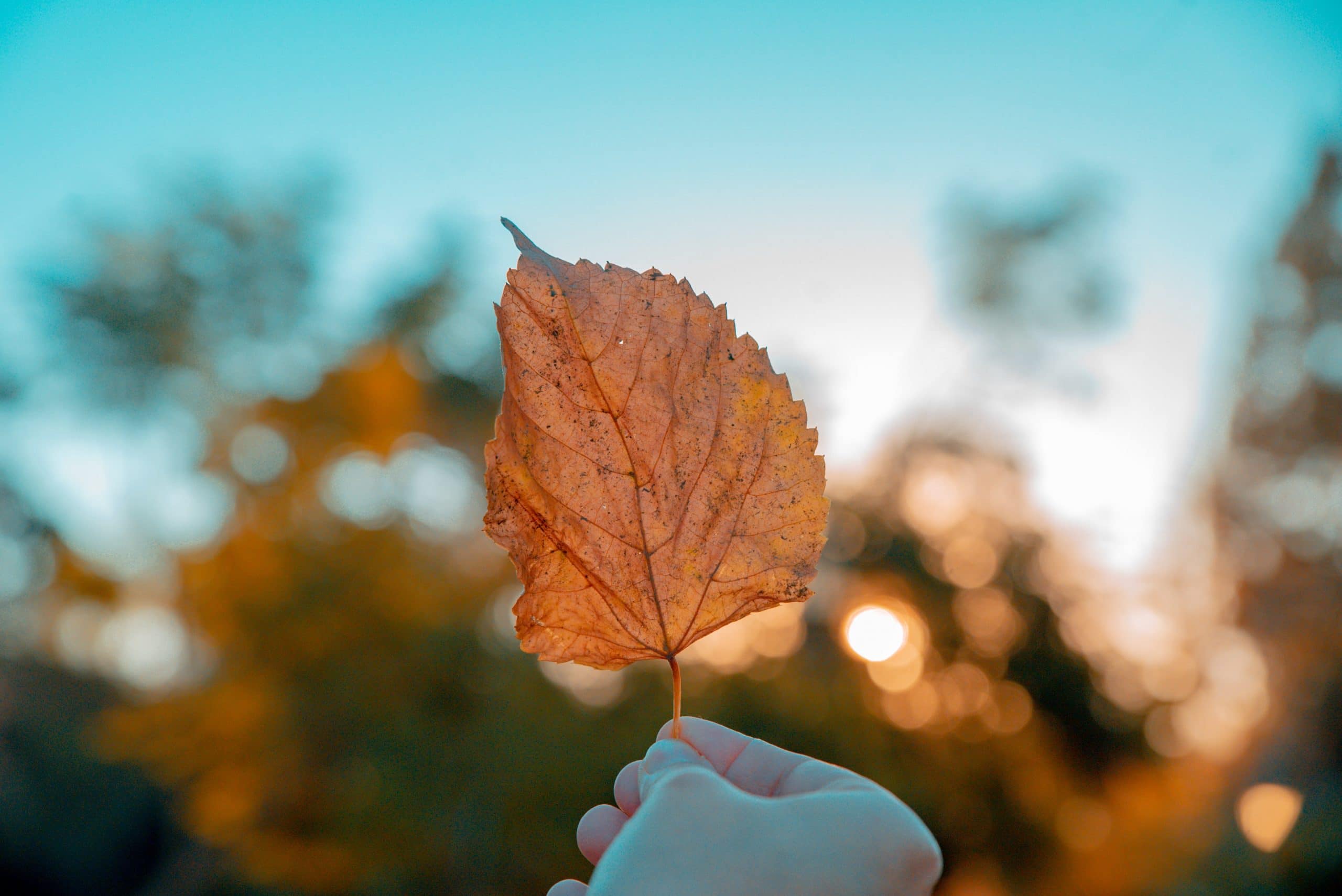 Read more about the article Honoring Our Stories: The Toxicity of Comparison