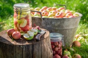 Read more about the article My Favorite Gluten Free Apple Recipes for the Fall