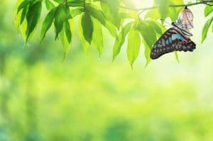 Read more about the article Change Isn’t a Bad Thing: Embracing the Circumstances That Shape Us
