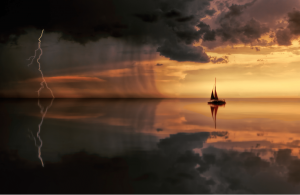 Read more about the article Choose to Find Calm in the Chaos! 5 Things You Can Do Now!