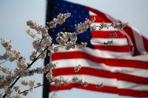 Read more about the article Life Lessons Learned From Beloved War Veterans