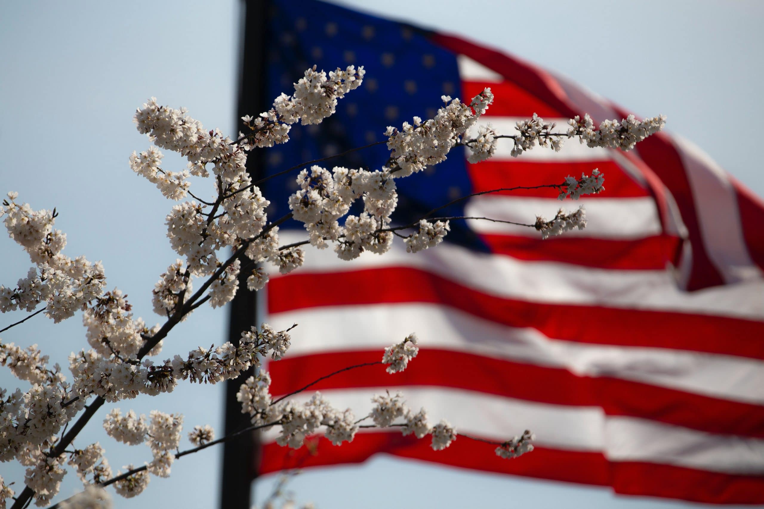 Read more about the article Life Lessons Learned From Beloved War Veterans
