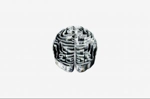 Read more about the article Does Brain Health and Physical Health Relate: Can the effects be reversed to live a healthier life?