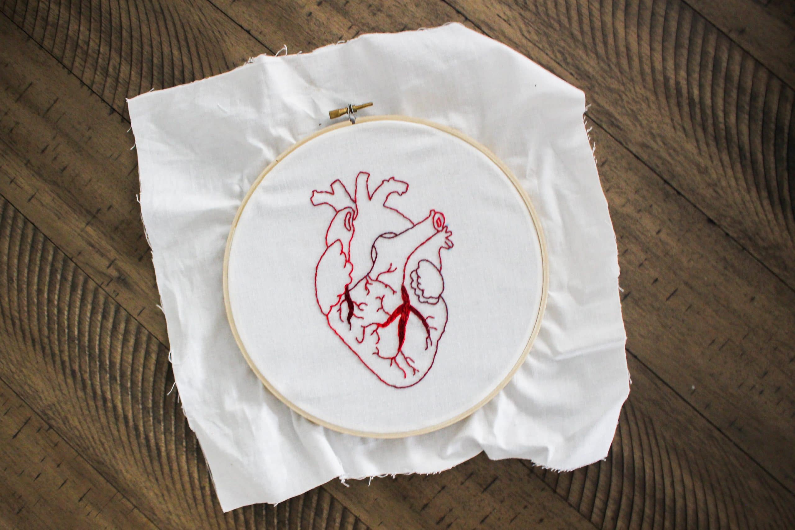 Read more about the article Time to Prioritize Heart Health — What Survival Teaches Us