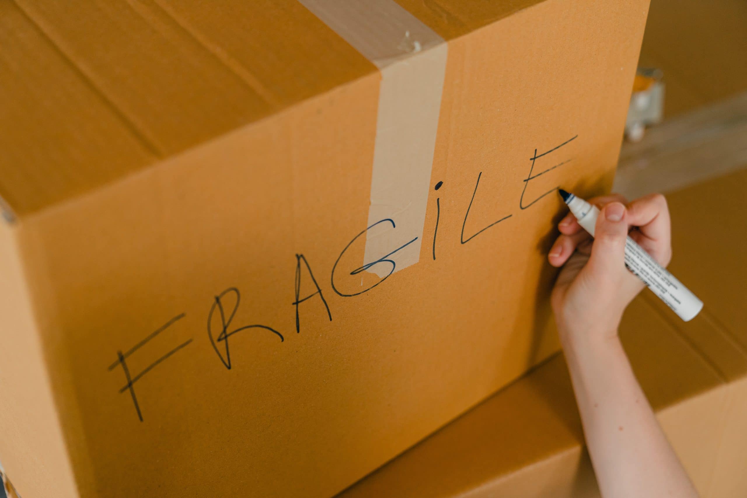 Read more about the article Living Away from Fear, Not Into It: An Unexpected Lesson in Courage