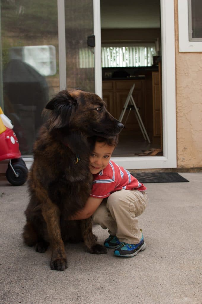dog, Cooper, kids