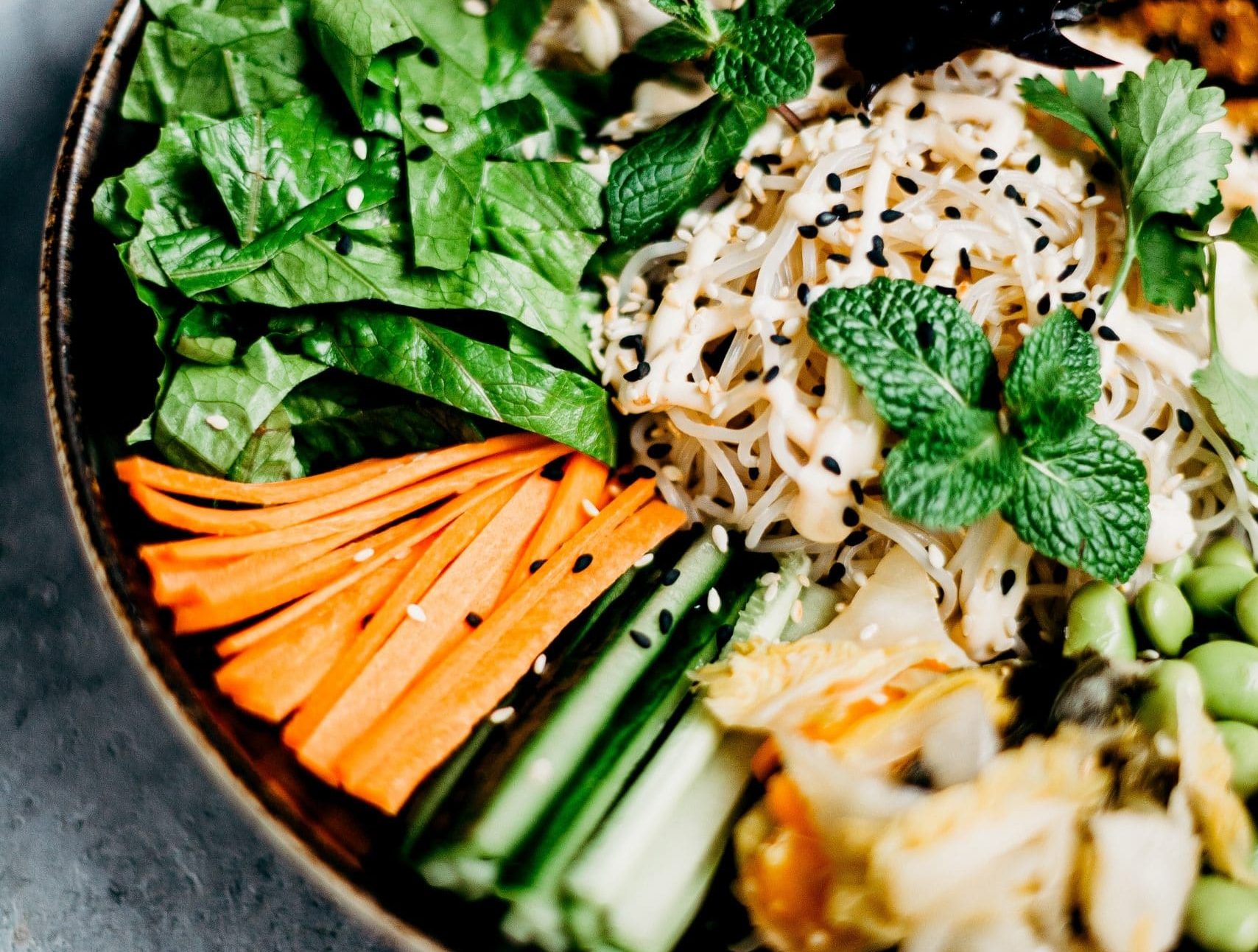 Read more about the article Why Try a Plant-Based Diet: Will it Help or Hurt Your Health?