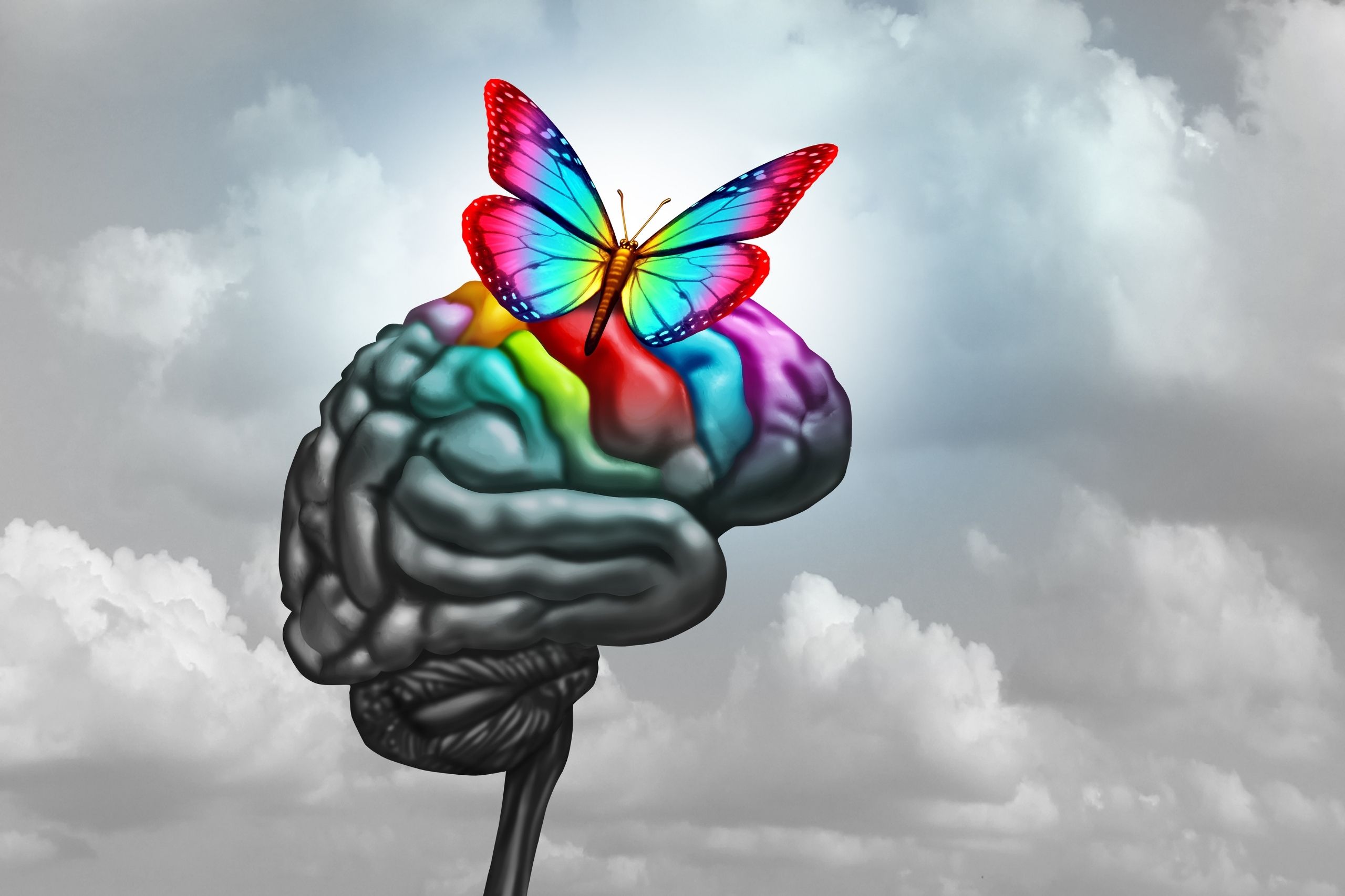 Read more about the article In Honor of My Beautifully Broken Brain: My TBI Journey