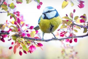 Read more about the article Spring: Moving From A Long, Dark Winter to Restored Hope