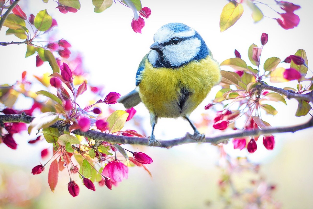 Read more about the article Spring: Moving From A Long, Dark Winter to Restored Hope