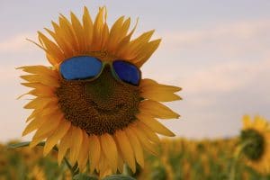 Read more about the article How Do I Find My Fun Me Again? 5 Ways to Bring Your Smile Back