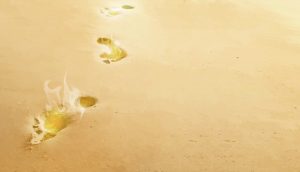 Read more about the article Footprints Outlined in Wisdom: A Poem for the Heart