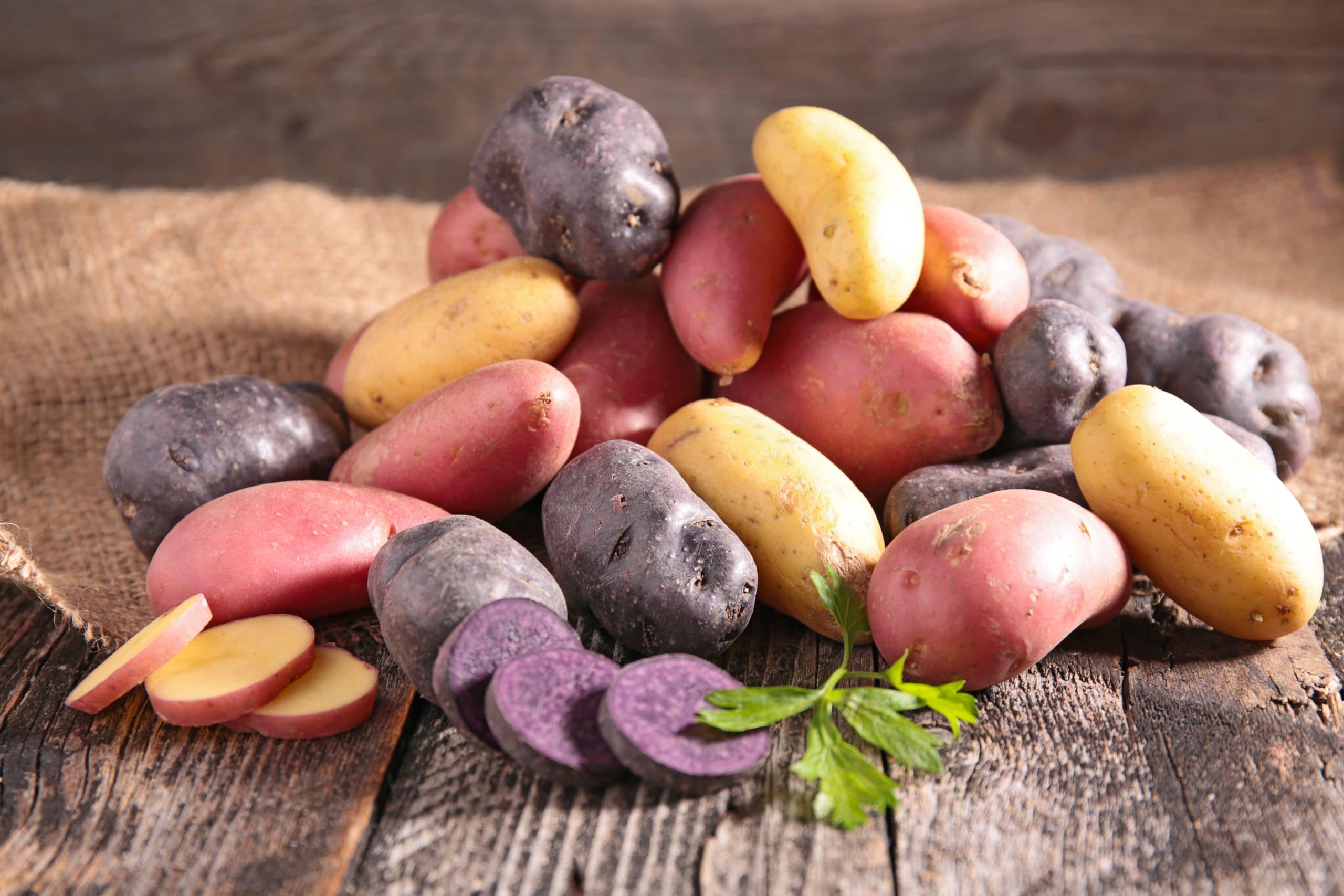 Read more about the article Embarking on Growth: Purple Sweet Potatoes Brought Me Closer to My Grandfather