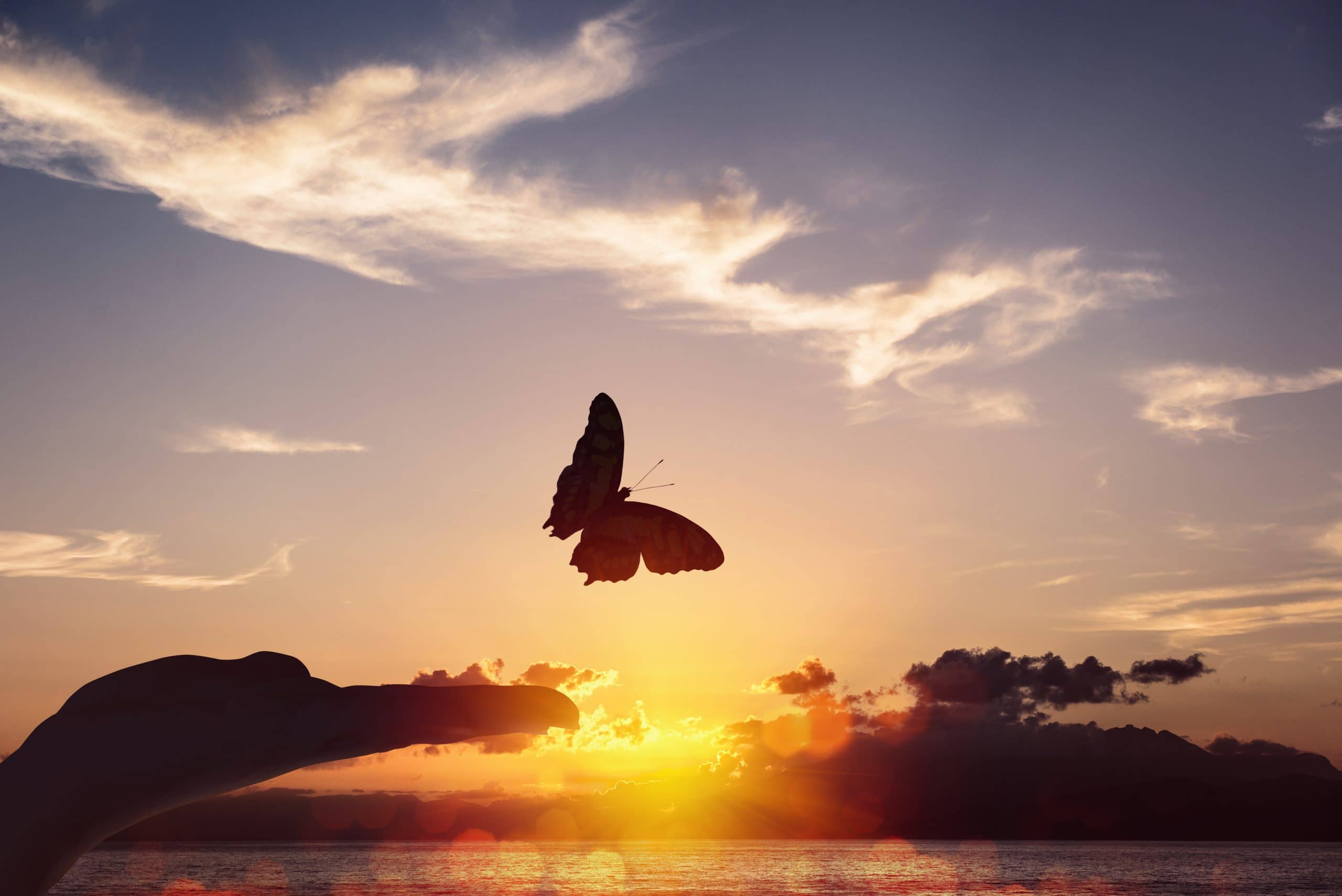 Read more about the article You are Limitless- Limiting Beliefs that you Should Release Today