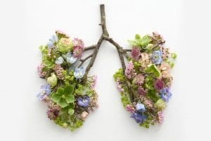 Read more about the article Creating a vision: breathing life into your dreams