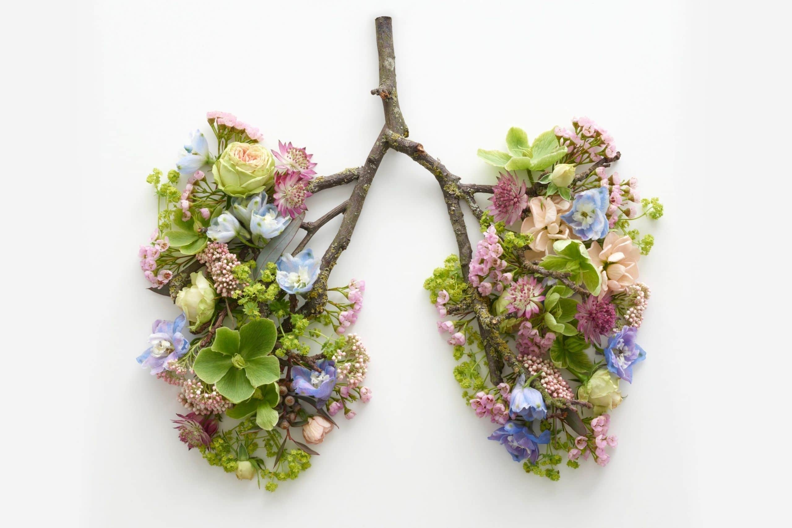 Read more about the article Creating a vision: breathing life into your dreams