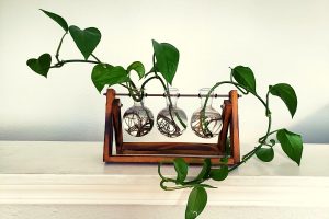 Read more about the article The Two Secrets to Satisfying Self-Care