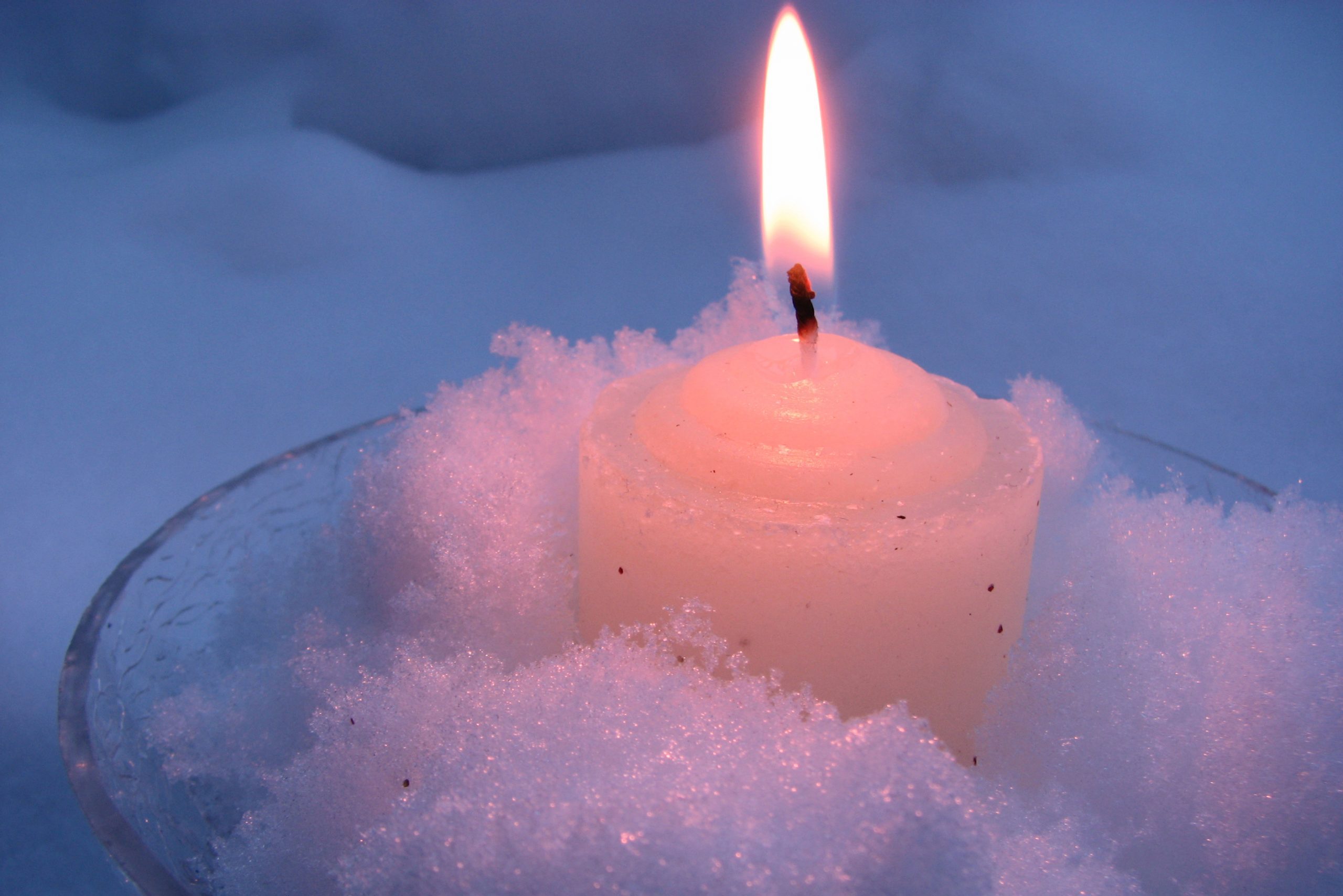 Read more about the article Choosing Gratitude in My Least Favorite Season