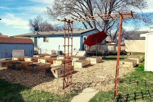 Read more about the article A Community Garden Fairy Tale