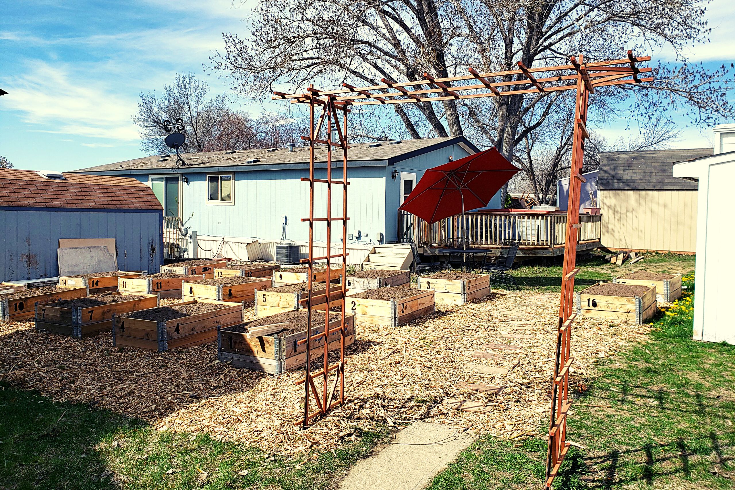 Read more about the article A Community Garden Fairy Tale