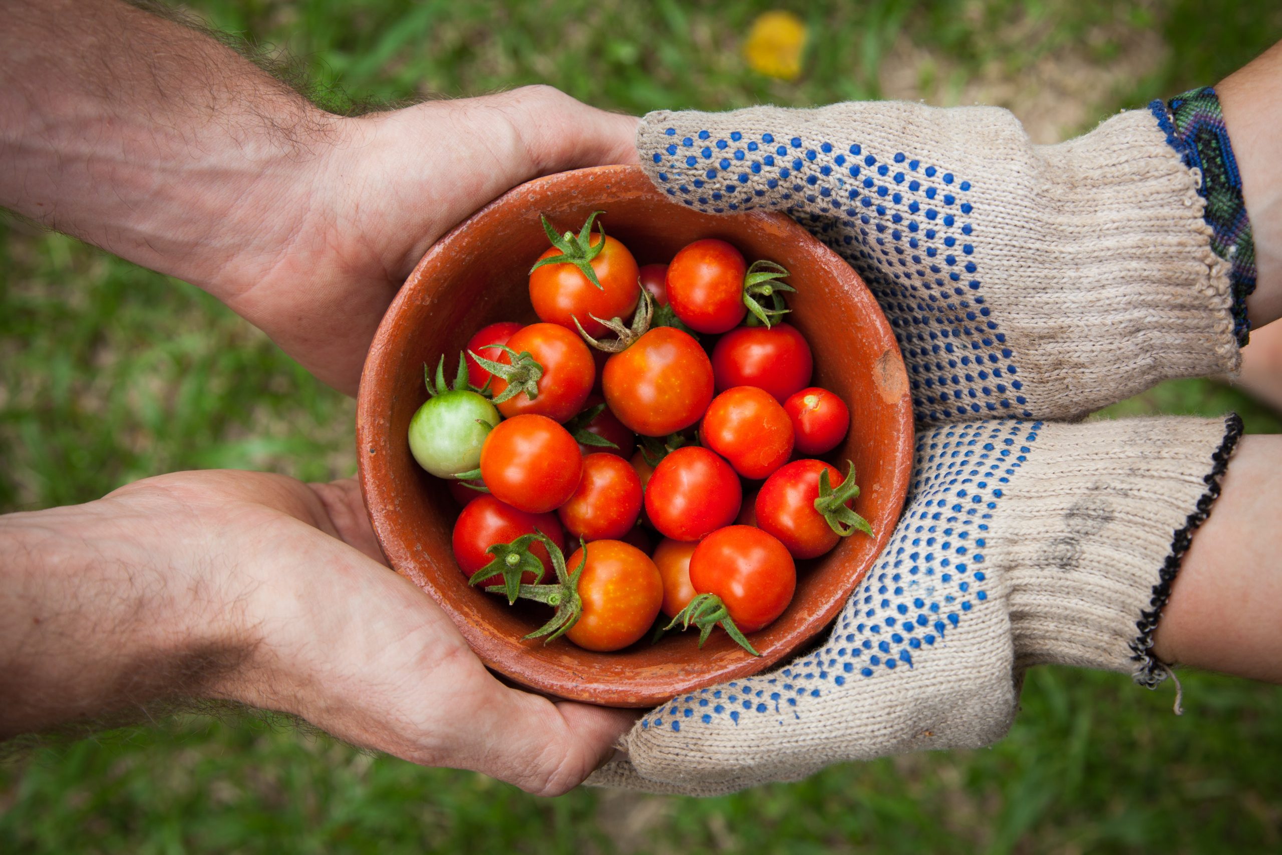 Read more about the article How to Live in Abundance When Shortage is the Word of the Year