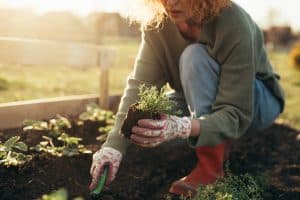 Read more about the article Great Reasons to Get Gardening!