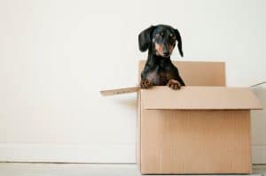 Read more about the article 4 Things to Consider Before You Move