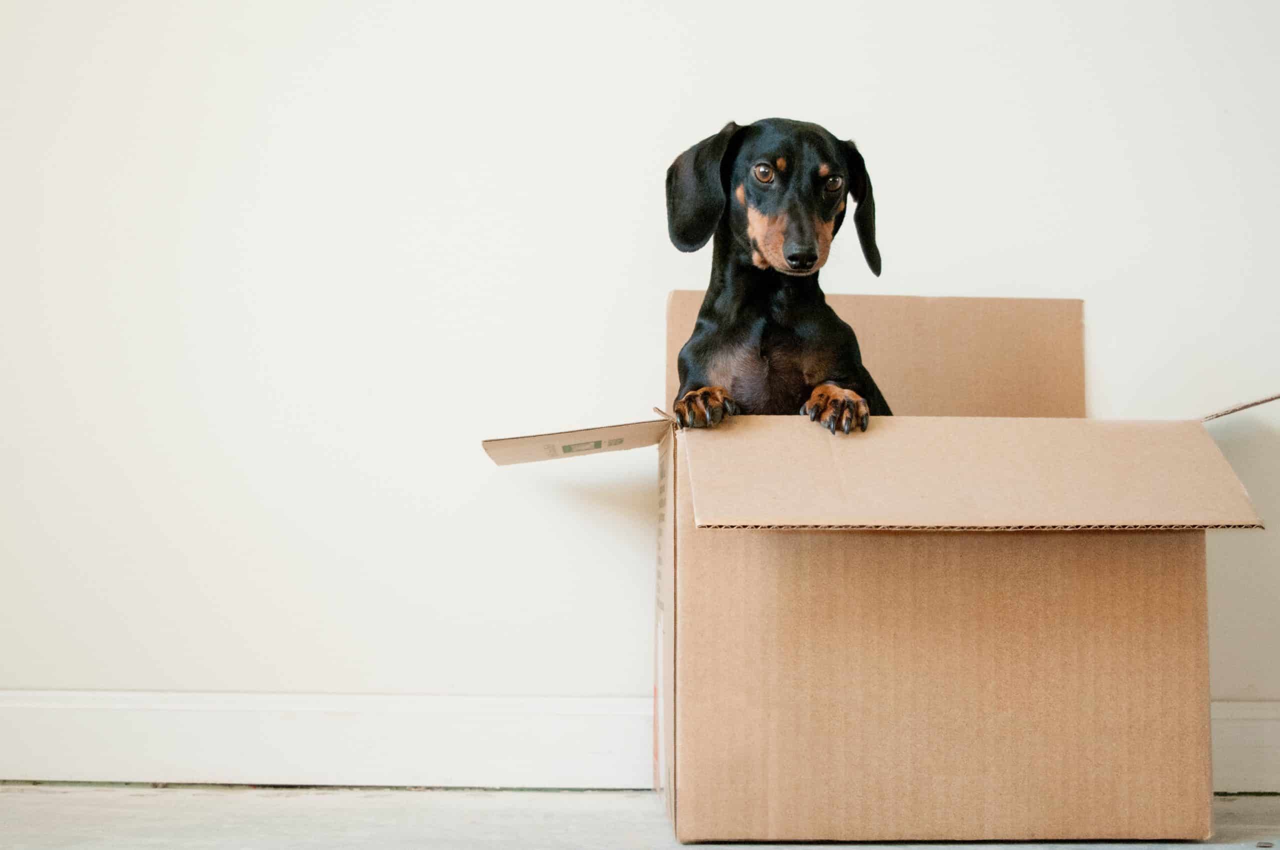 Read more about the article 4 Things to Consider Before You Move