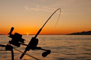 Read more about the article Hook, Line and Sinker: Exploring the Diverse World of Fishing Hobbies