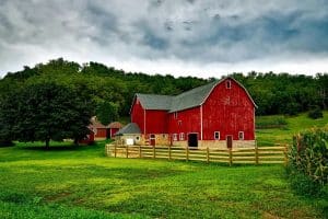 Read more about the article If You Are Starting Your Own Hobby Farm: Some Things To Consider