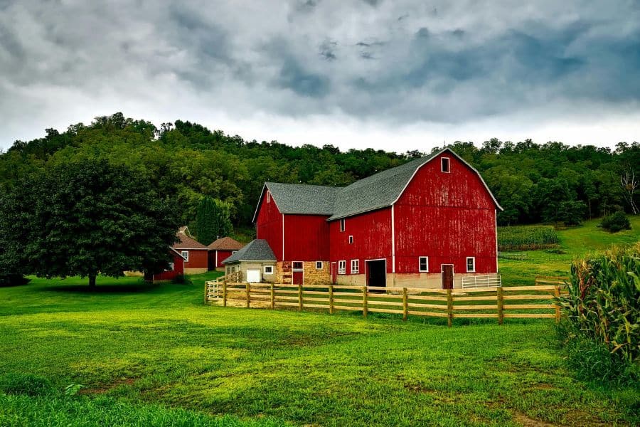 Read more about the article If You Are Starting Your Own Hobby Farm: Some Things To Consider