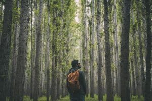 Read more about the article How to Support Your Mental Wellbeing