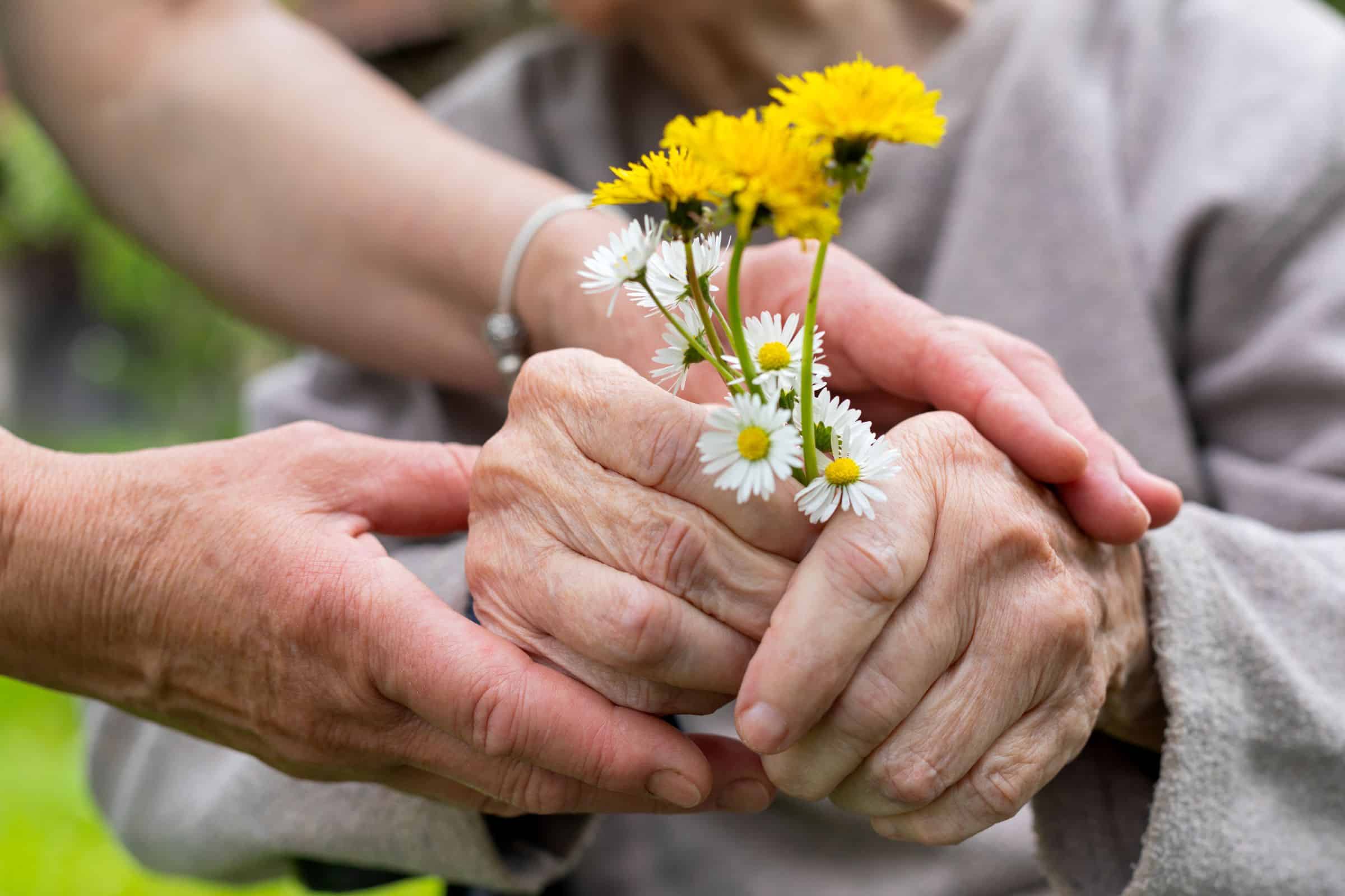 Read more about the article The Questions You Should Always Ask Before Choosing A Care Home